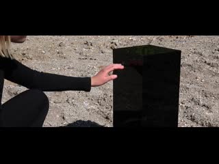 Daniel ness 'shy' | 43 music video