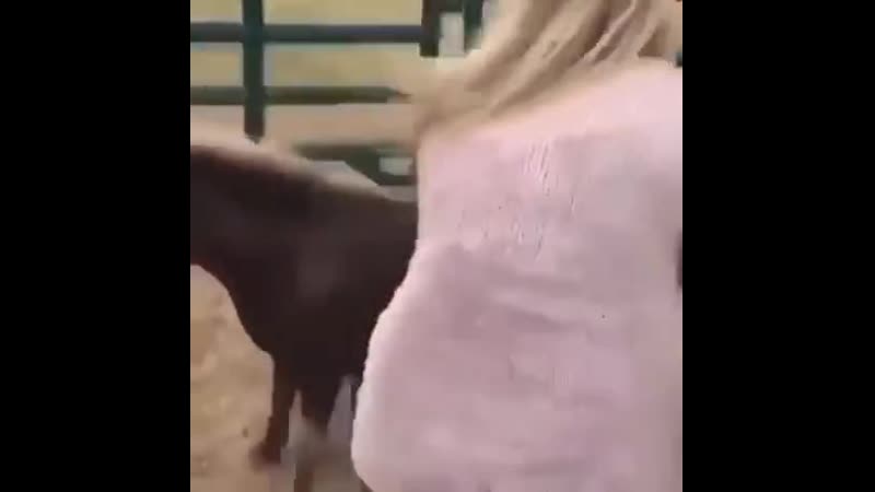 Доминируй,властвуй,унижай