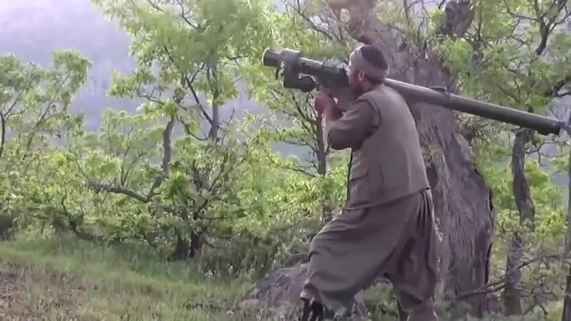 Ебанула макака