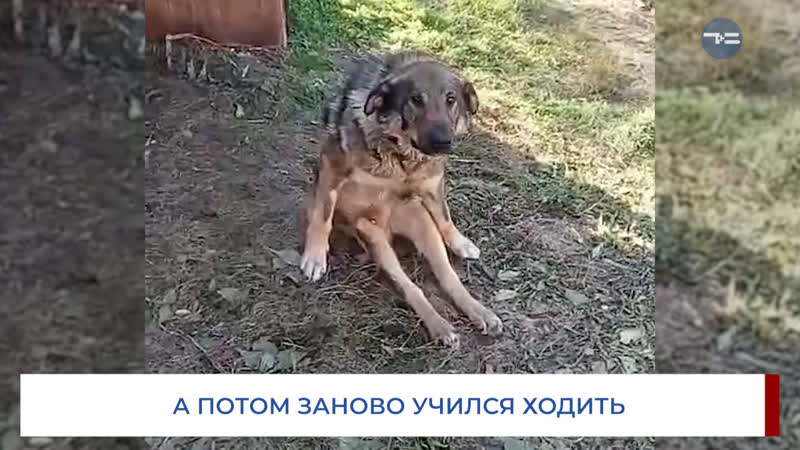 Счастливчик пашка