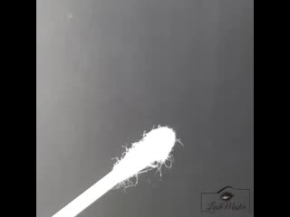 Lashmaster no 20191212 5 mp4