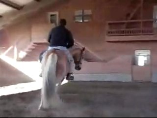 Part 4 of the riding lesson ~ using the leg ~ by jp giacomini 4th part of a 5 part lesson