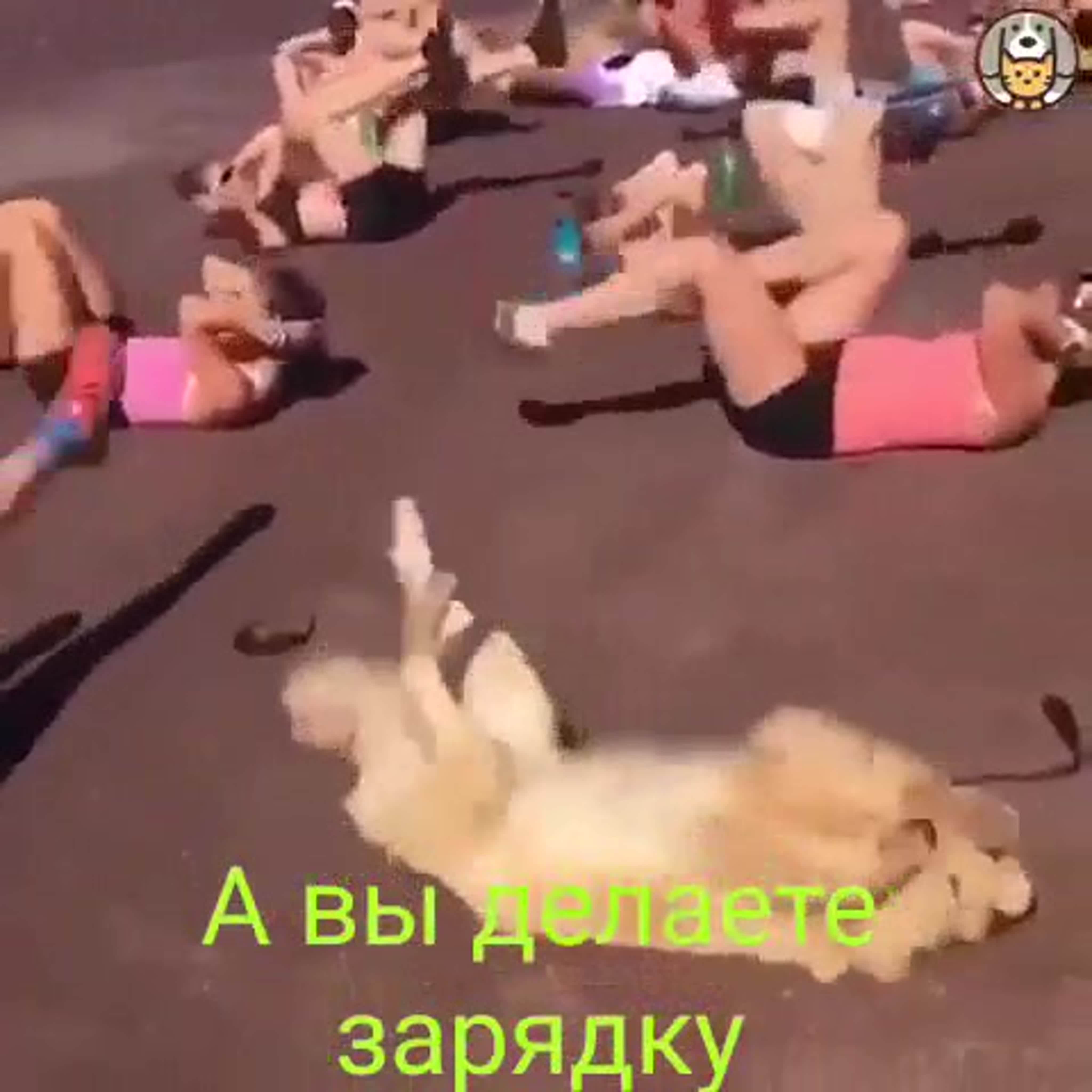 Вы делаете зарядку - ExPornToons