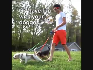 Your doggos won't get tangled up with this dual leash!