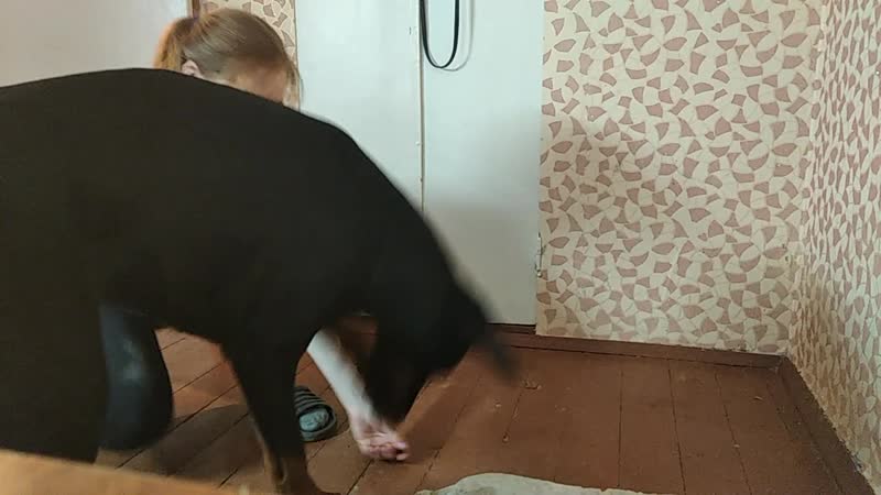 Учим поклон