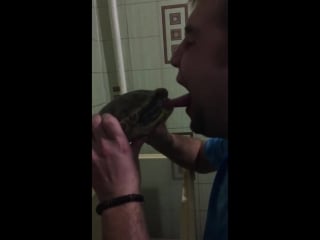 Дурному человеку захотелось поцеловать черепаху