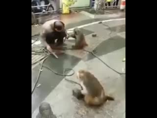 Доигрался (vhs video)