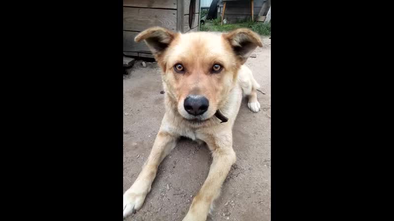 Стесняшка крушитель😂❤