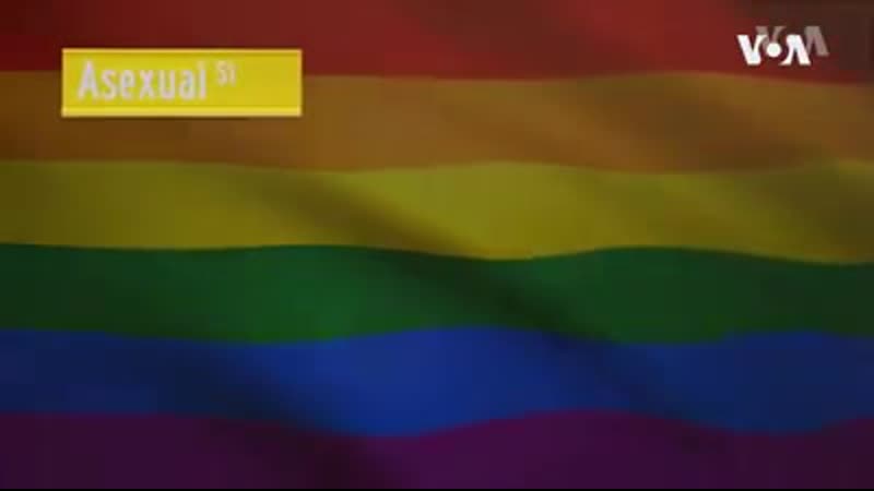 Америке porn video – Существует ли в америке гомофобия?