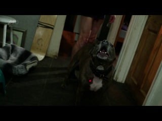 Ayol kuchli orgazm porno Boglangan va uch Dicks uning eshak shoved bor edi