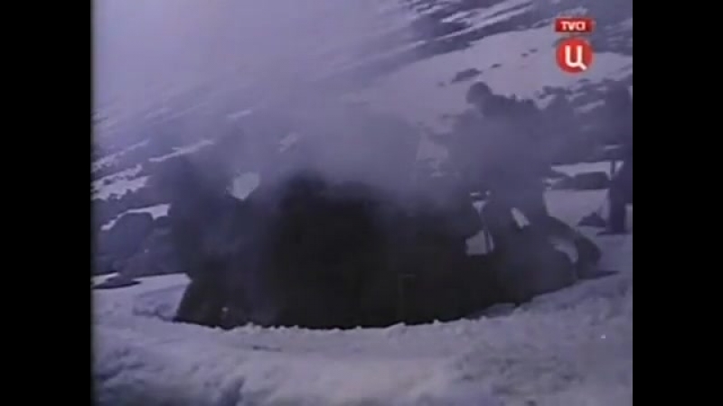 Подснежники и эдельвейсы (1981 г )