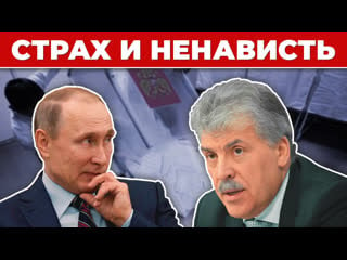 🍓за что путин на самом деле ненавидит грудинина