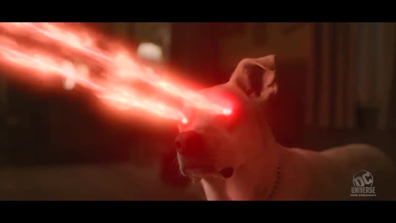 Krypto and conner are no longer on a leash