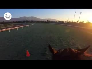 Ride the santa anita turf on a'ali