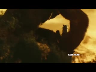 Маймыл түсі