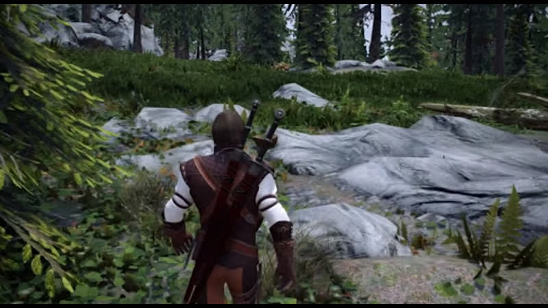 Skyrim se modded witcher 3 like experience ¦ 100+ mods ¦ i3 3220, gt1030