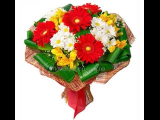 Ice video 20191123 200726