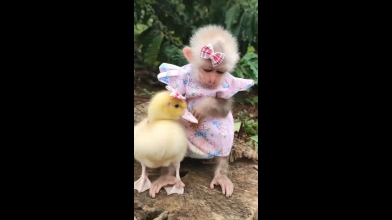 Придумайте название сами