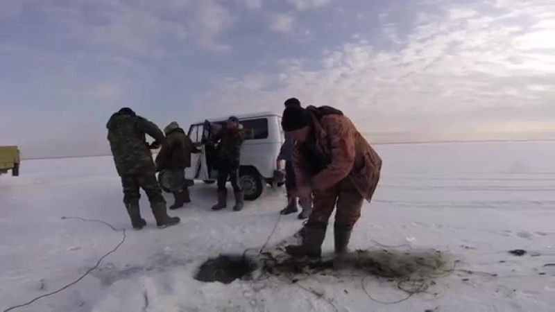 Браконьер метнул нож в егеря