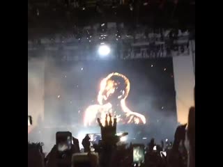 Instagram @giorgia whigham