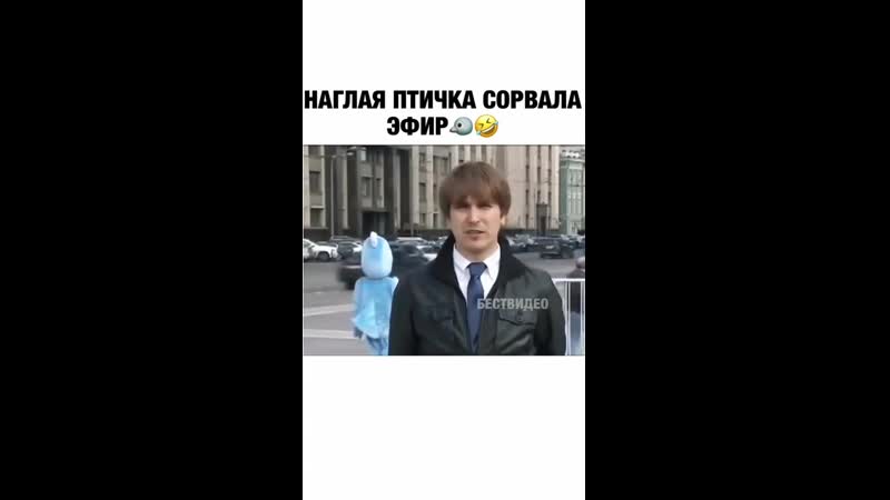 Грёбанные голуби