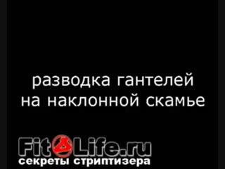 26 упражнения для груди разводка гантелей лежа