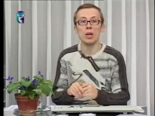 Экология передача 8 засоление может ли засоление повысить декоративные качества растения