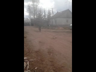 Vid 20200425 134247 mp4