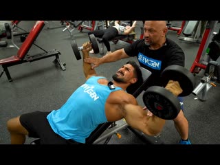 Andrei deiu trains chest