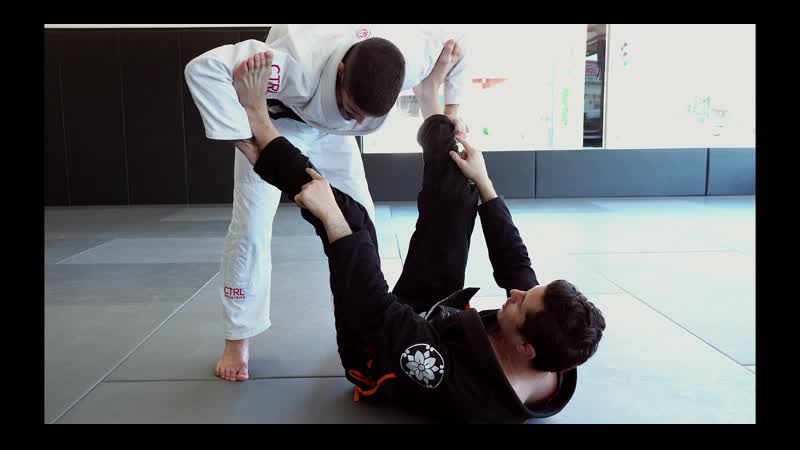 Caio terra spider guard concepts