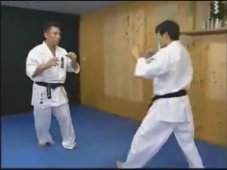 Kyokushin karate by hajime kazumi