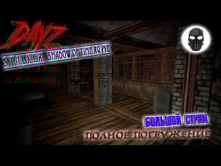 |dayz|s t a l k e r shadow of time rg pve|полное погружение|часть 35|крах|