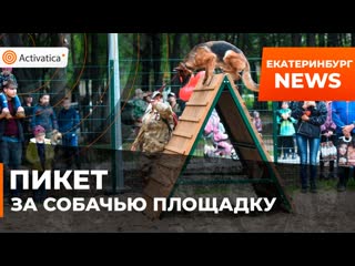 Жители екатеринбурга требуют строительства площадки для молодые