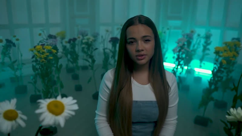 Ромашки (сниппет)