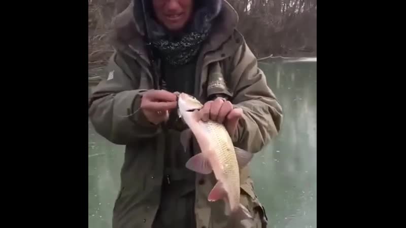 Шикарная поклёа ibrfhyfz gjrk`drf