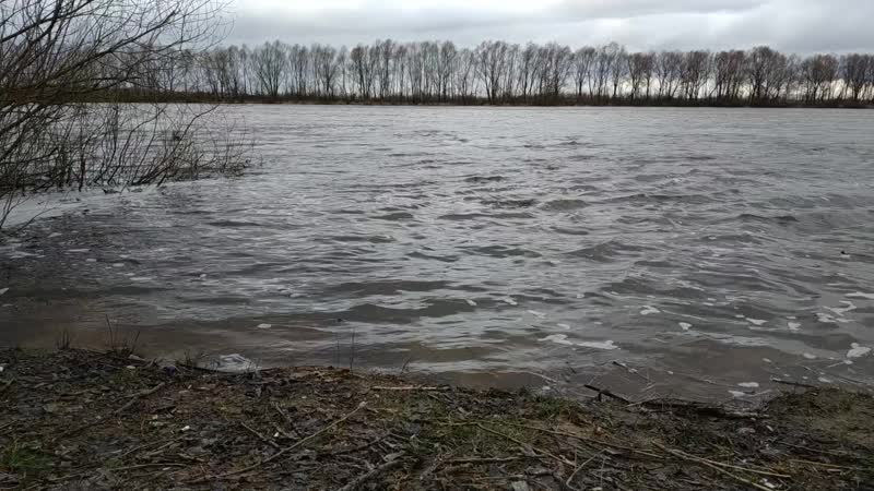 Снимаю течение реки во время вело прогулки