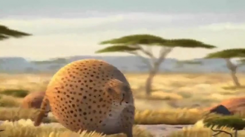 Смешное видео про полных и толстых молодые прикольный и забавный ролик