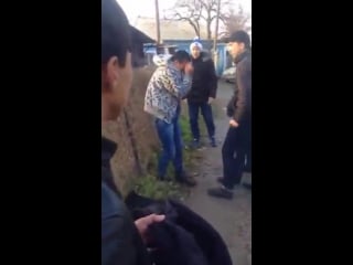 Шакалы, школота