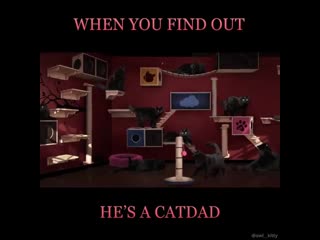 Owlkitty fifty shades of grey