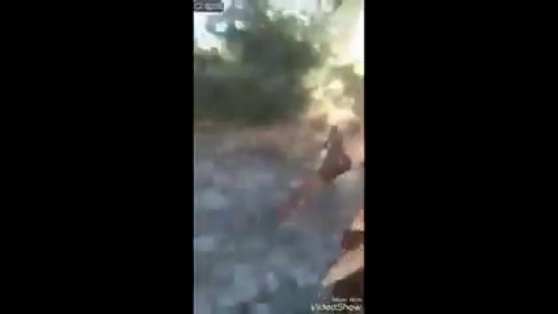 Негр анатолий ищет артура