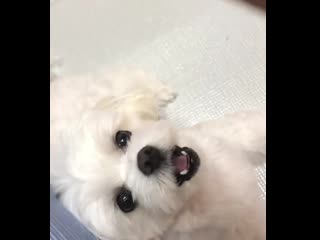 201212 joy (red velvet) @ instagram haetnimee