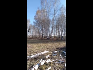 Vid 20201021 153950 mp4