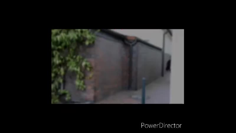 Coukoku dazai osamu/chuya nakahara