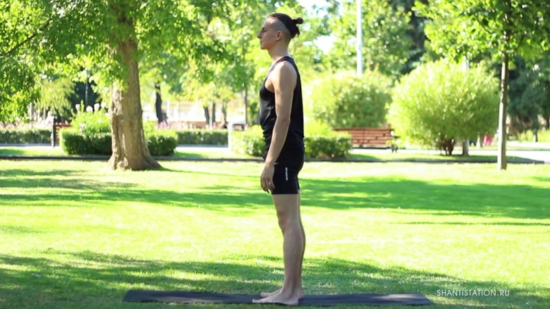 Упражнение на плечи упражнение для укрепления мышц плечевого пояса и здоровья плечевых суставов