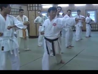 Кихон сито рю shito ryu kihon