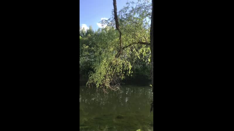 Добрий ранок