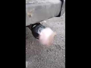 Бешеная вагина