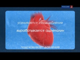 Катание porn video – Sls технологии спорта фигурное катание