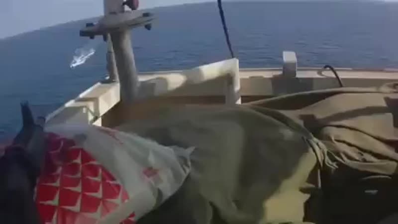Somali pirates vs ship’s heavily armed security guards follow for more daha fa ( 270 x 480 ) mp4