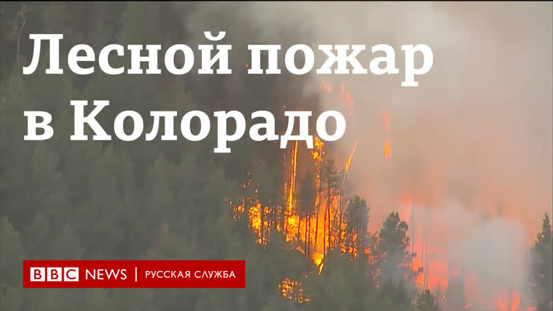 Лесной пожар в колорадо – самый большой в истории штата